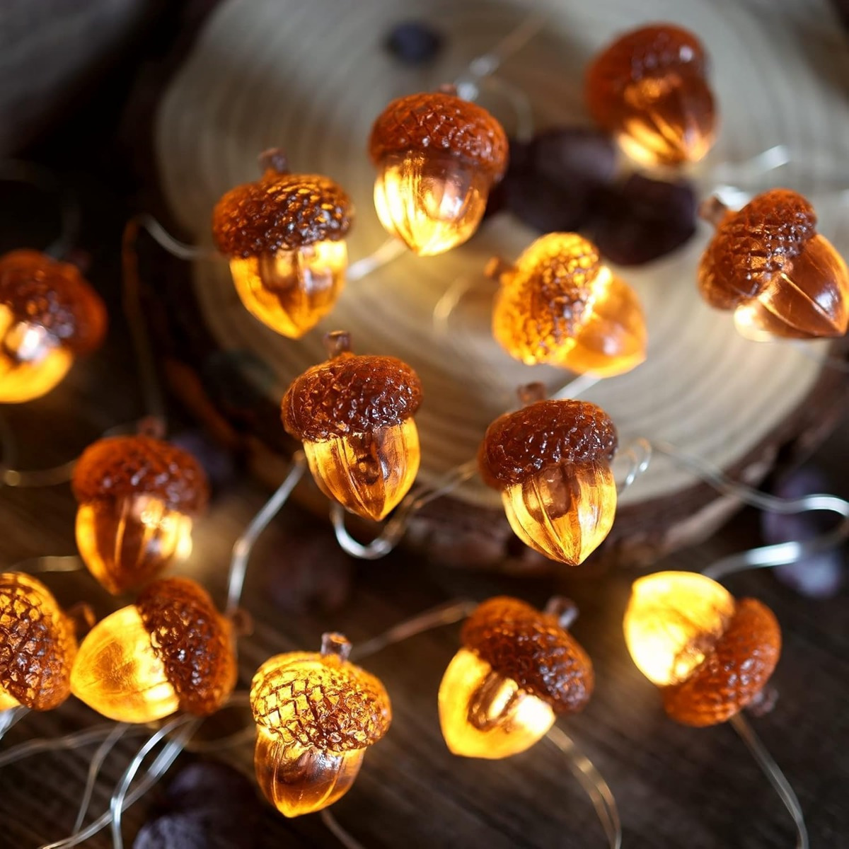 30 LEDs Acorn String Lights Th - Led Fairy String Lights review and price