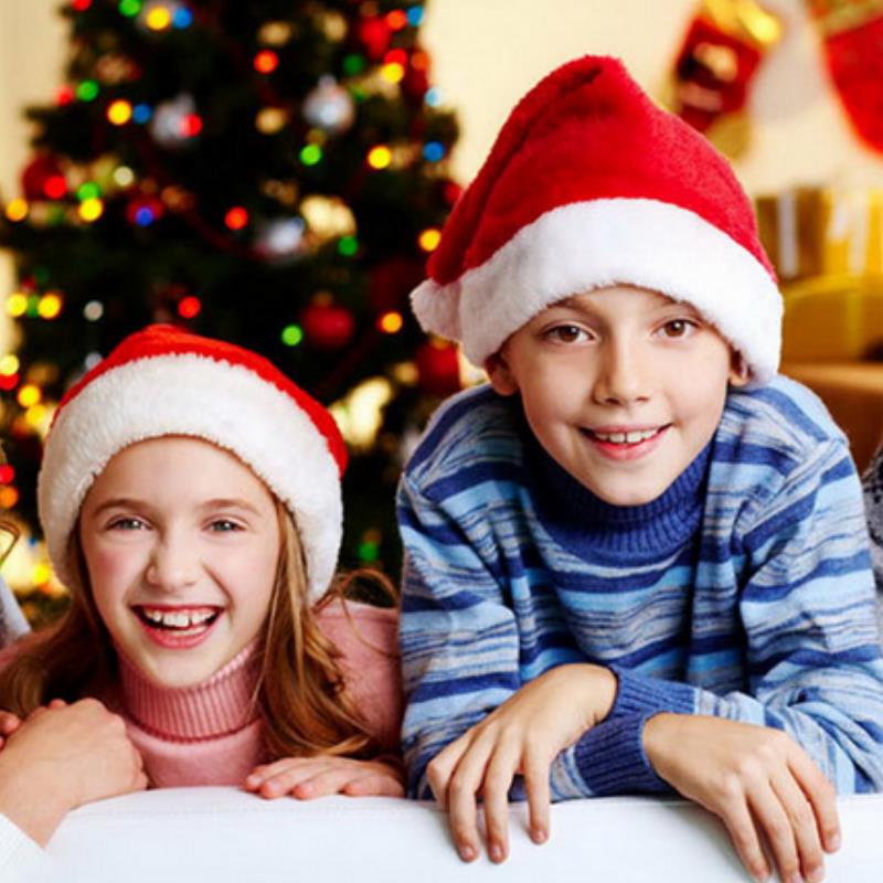 Plush Christmas Hat for Adult  - Santa Hat Plush review and price